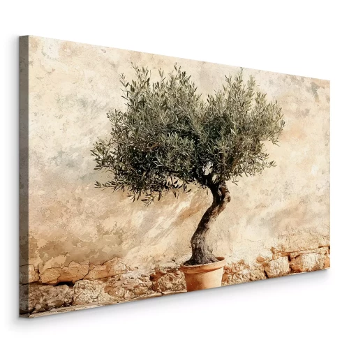 Canvas Olijfboom in een pot