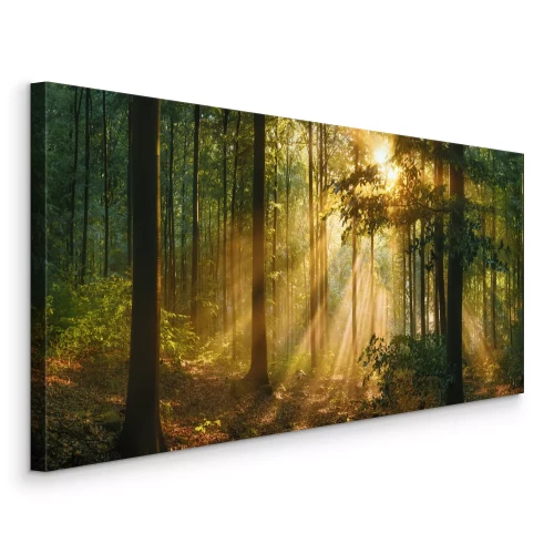 Canvas Ochtendlicht tussen de bomen in het bos