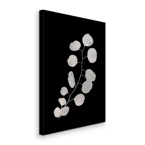 Canvas Heldere eucalyptusbladeren op een zwarte achtergrond