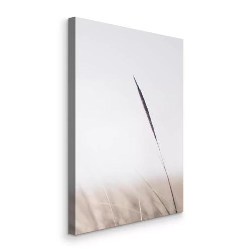 Canvas Een slank grassprietje in een minimalistisch kader