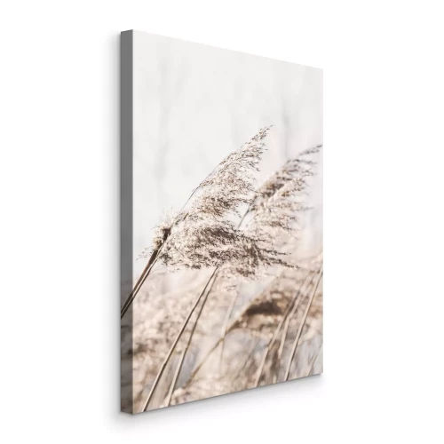 Canvas Beige grassen die in de wind wapperen op het veld