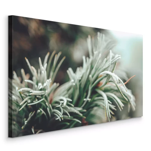 Canvas Groene dennentak close-up