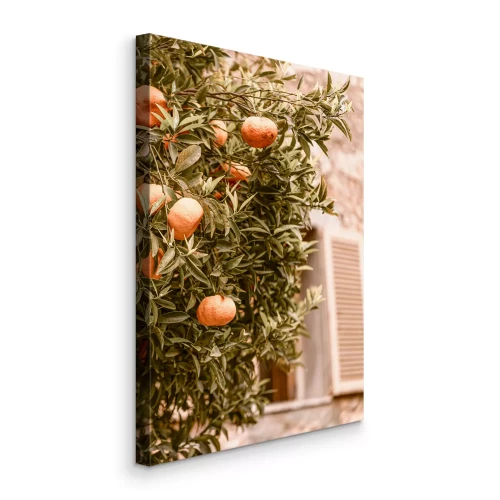 Canvas Een citrusboom naast een gebouw in een warm land
