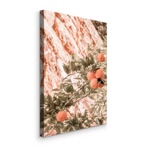 Canvas Citrusboom met clementines