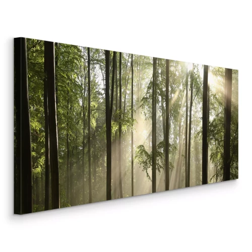 Canvas Ochtendlicht schijnt door de bomen