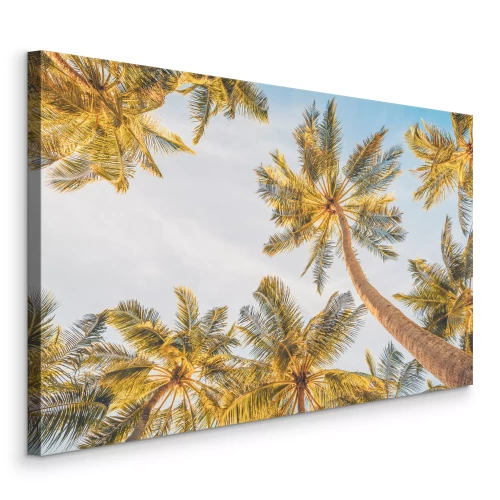 Canvas Uitzicht van onderaf op de palmboomkronen