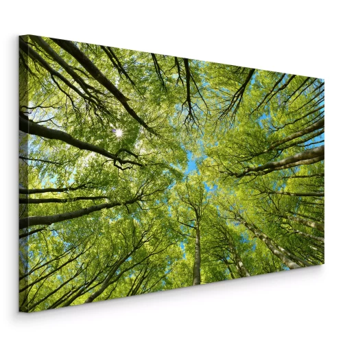 Canvas Groene boomtoppen tegen de blauwe lucht