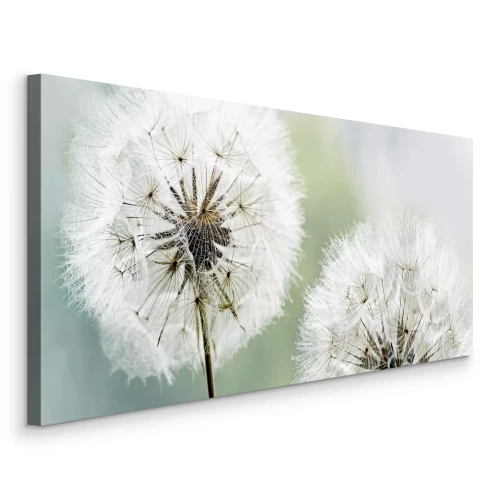 Canvas Lichtgewicht paardenbloemen in natuurlijke lichte tinten