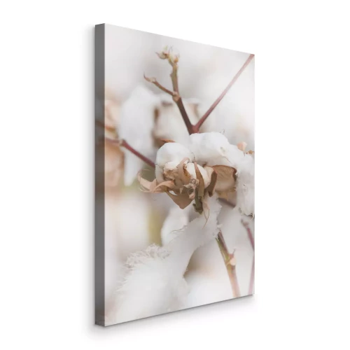 Canvas Katoentakken op een natuurlijke achtergrond