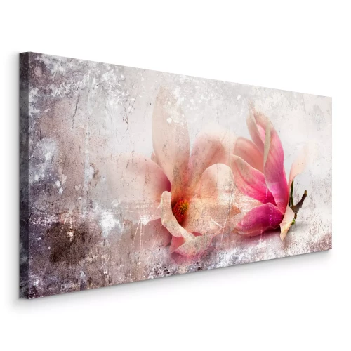 Canvas Twee liggende magnoliabloemen in roze tinten