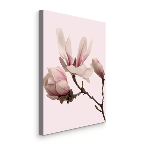 Canvas Een subtiele magnoliatak in pastelroze