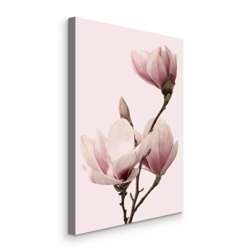 Canvas Magnoliatak met knoppen op een roze achtergrond