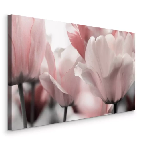 Canvas Close-up van pastelkleurige tulpen in roze tinten