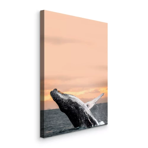 Canvas Een walvis springt bij zonsondergang in het water