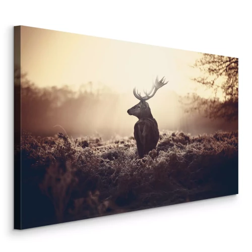 Canvas Een mannelijk hert tegen de achtergrond van de dageraad