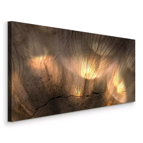 Canvas Paardenbloemen in gouden licht tegen de achtergrond van een rots