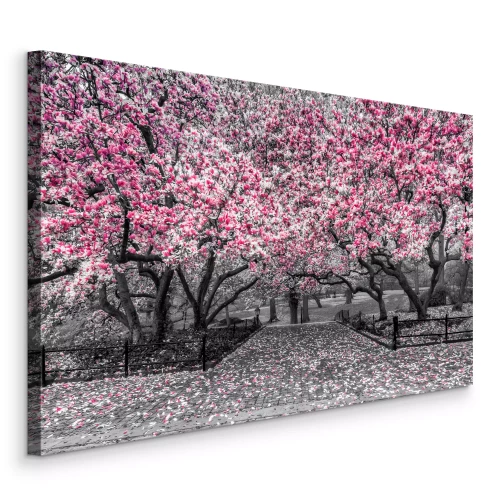Canvas Bloeiende magnoliabomen langs een geplaveid pad