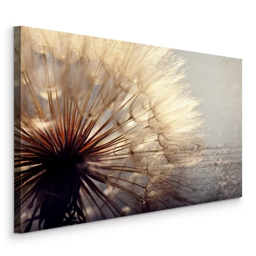 Canvas Paardenbloem op een gestructureerde achtergrond met het opschrift