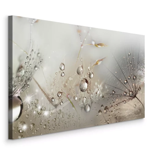 Canvas Paardenbloemen met dauwdruppels in een lichtgevende opname