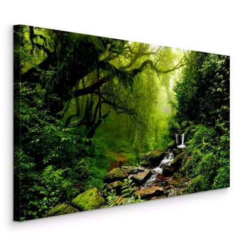 Canvas Een kleine waterval in een vochtig groen bos