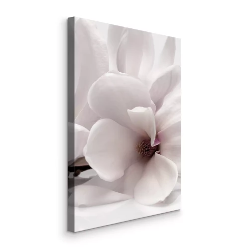 Canvas Close-up van een witte magnoliabloem