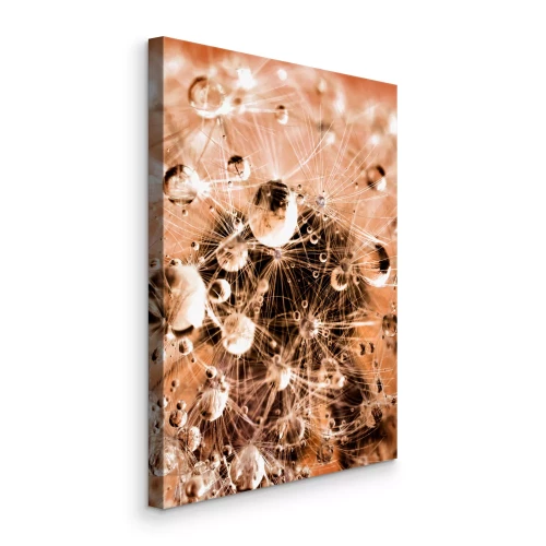 Canvas Macrofotografie van een paardenbloem bedekt met dauw