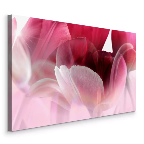 Canvas Roze tulpenblaadjes in de lichtstralen