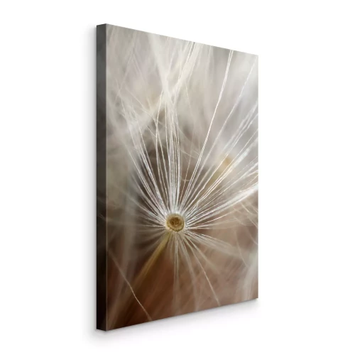 Canvas Delicate paardenbloemvezels tegen een wazige achtergrond