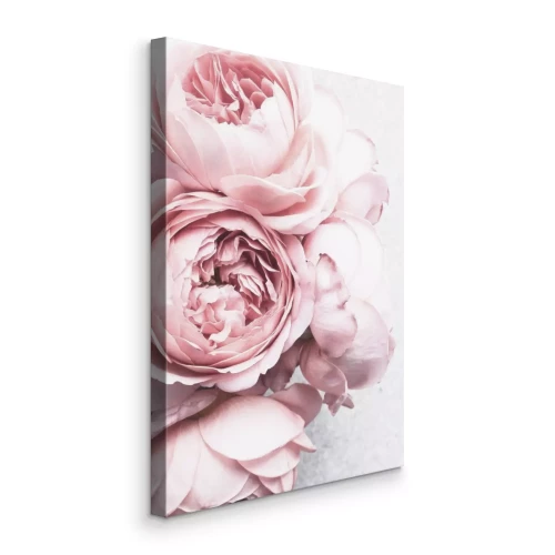 Canvas Roze bloemen close-up