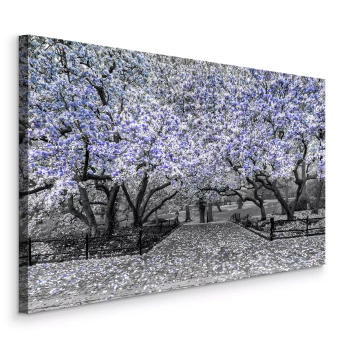 Canvas Een park met magnoliabomen in blauwtinten