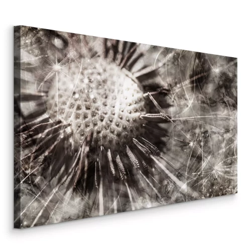 Canvas Een close-up van een paardenbloem in monochrome tinten