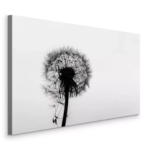 Canvas Minimalistische paardenbloem in zwart-wit
