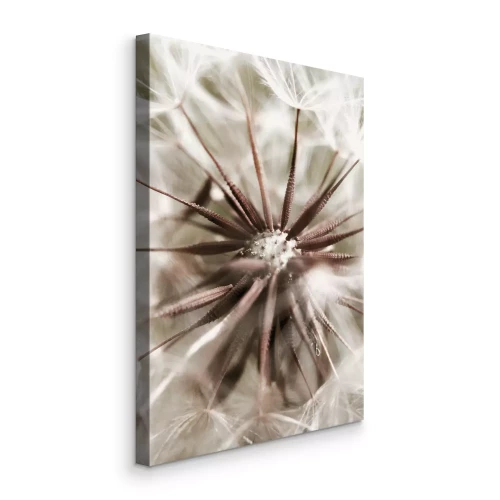 Canvas De structuur van paardenbloemzaden in crèmetinten