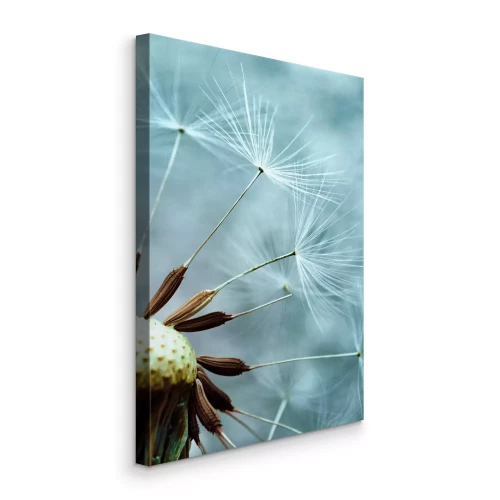 Canvas Koel getinte paardenbloemzaden