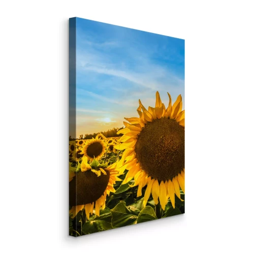 Canvas Verticale opname van zonnebloemen