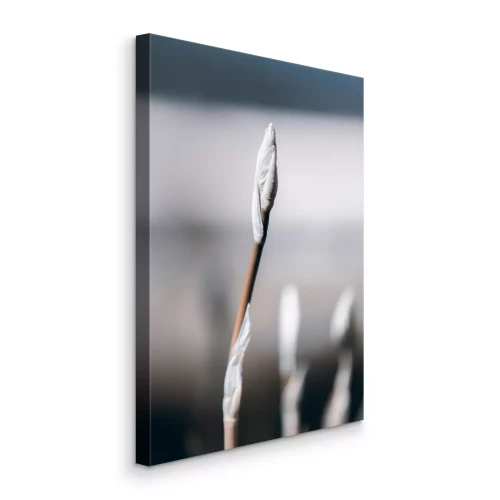 Canvas Close-up van een heldere plantenscheut