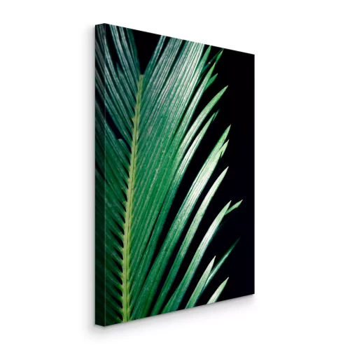 Canvas Puntige palmbladeren op een zwarte achtergrond