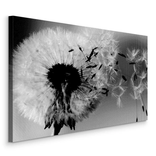 Canvas Zwart-witte paardenbloem in de wind