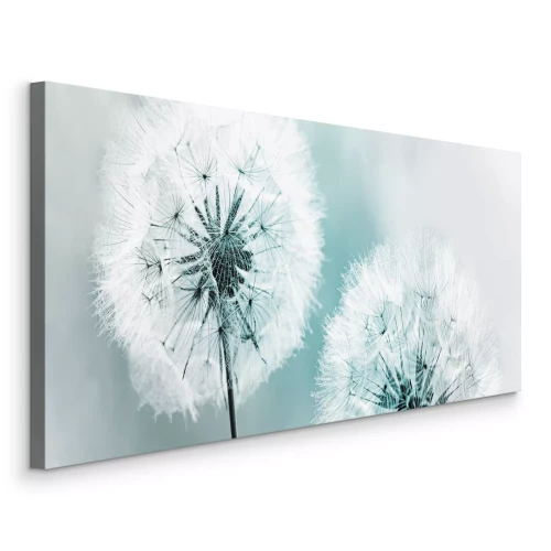 Canvas Twee paardenbloemen tegen een koele blauwe achtergrond