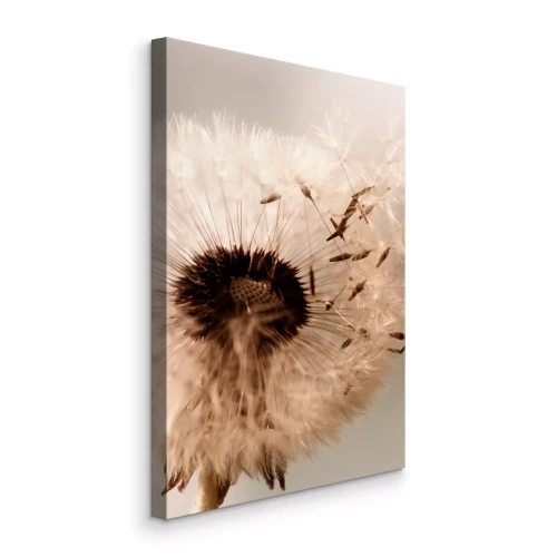 Canvas Beige paardenbloem met zaden tegen de lucht