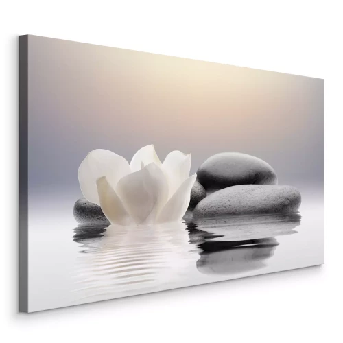 Canvas Witte magnoliabloem en stenen met weerspiegeling in water