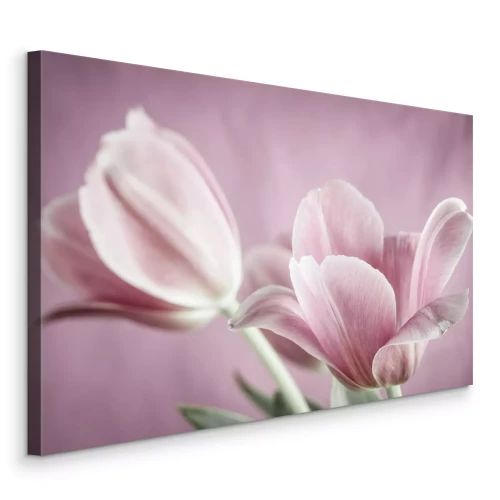 Canvas Romantische roze tulpen op een wazige achtergrond
