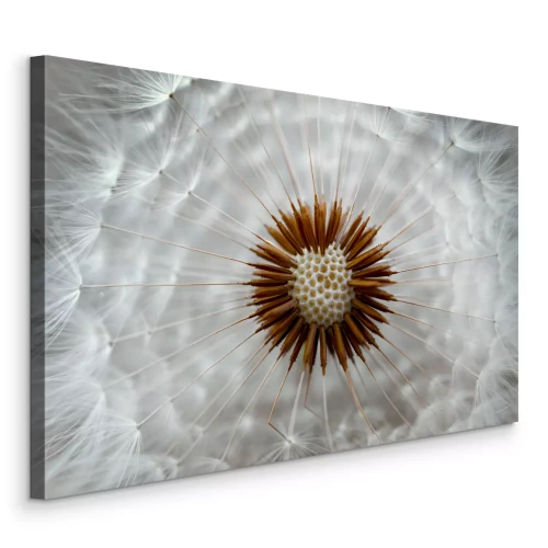 Canvas Een close-up van het hart van de paardenbloem