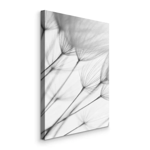 Canvas Minimalistische paardenbloemen in grijstinten