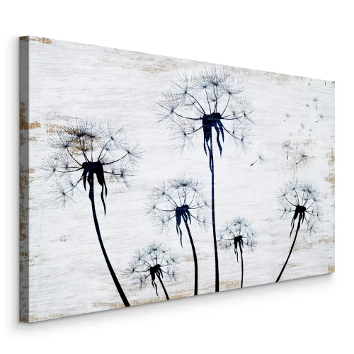 Canvas Minimalistische silhouetten van paardenbloemen op een witte textuur