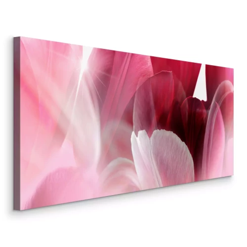 Canvas Roze tulpenblaadjes in zacht licht
