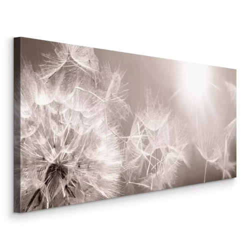 Canvas Heldere paardenbloemen in het licht in een monochromatische opname