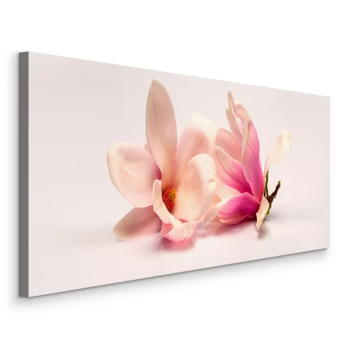 Canvas Liggende magnoliabloemen in pasteltinten