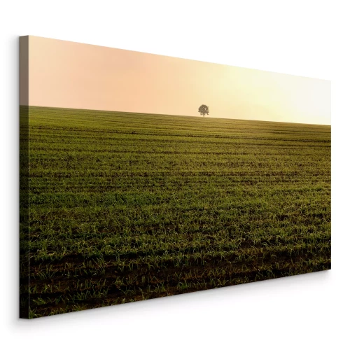 Canvas Een enkele boom in een leeg veld