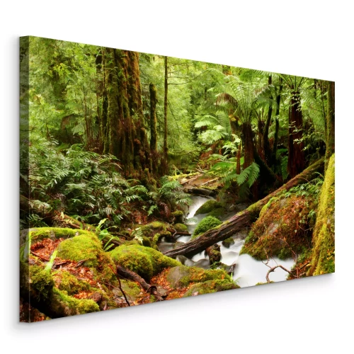 Canvas Waterval en beek in een groen bos